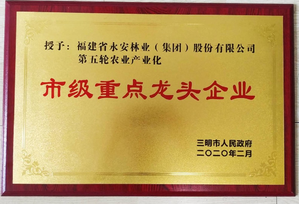 2020市級重點龍頭企業