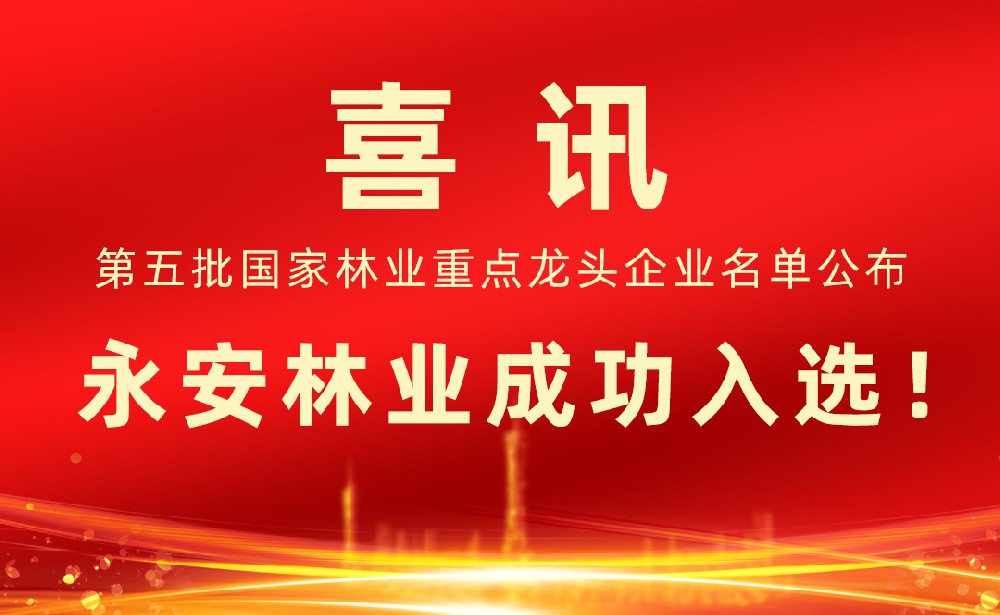 第五批國家林業重點龍頭企業名單發布！永安林業成功入選！