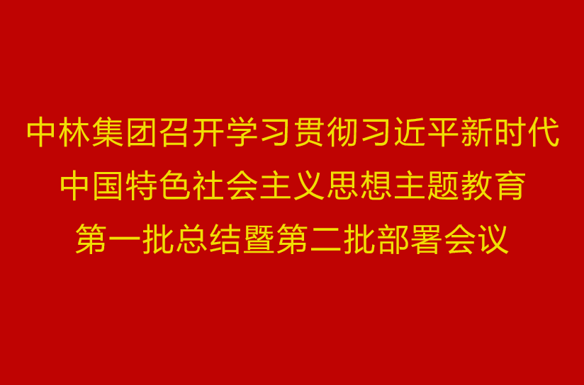 中(zhōng)林集團召開(kāi)學習貫徹習近平新時代中(zhōng)國特色社會主義思想主題教育第一(yī)批總結暨第二批部署會議