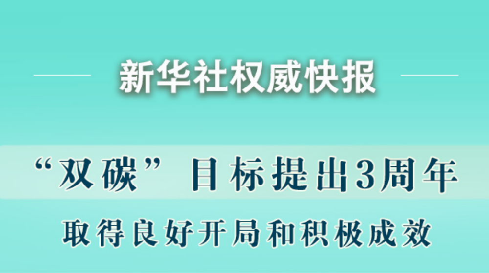 “雙碳”目标提出3周年取得積極成效